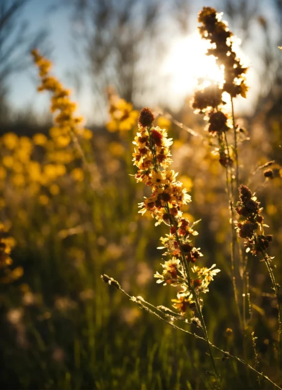 5 Situations That Affect Your Brand Image