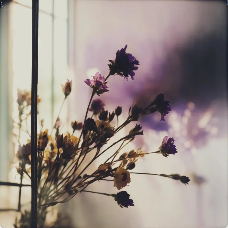 Les 9 critères d’un bon nom