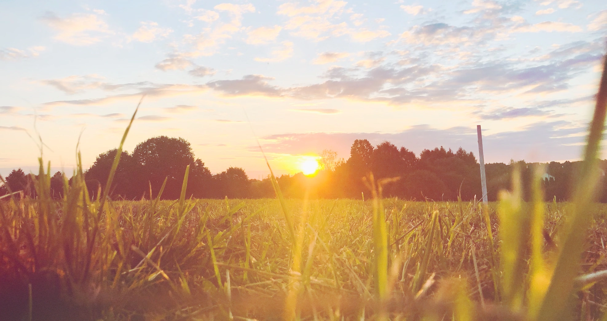 From Solstice to Growth: Transform Your Business